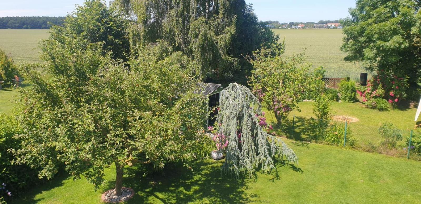 Ostseeferien In Lichtenhagen-Dorf Ferienwohnung Эльменхорст Экстерьер фото